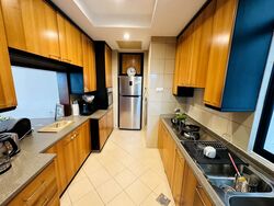 Valley Park (D10), Condominium #505175781